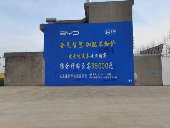 樟树墙固是否有必要刷？